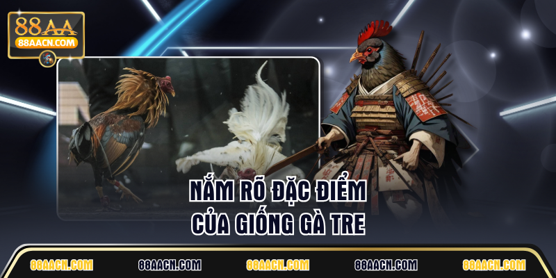 Nắm rõ đặc điểm của giống gà tre