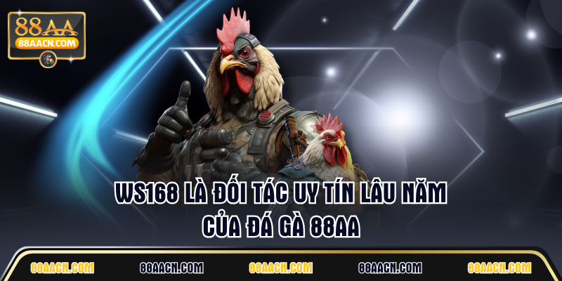 WS168 là đối tác uy tín lâu năm của đá gà 88AA